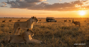Parc national Kafue : l’aventure safari sauvage en Zambie - safari-zambie.fr