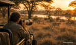 Safari photo en Zambie : l’immersion sauvage absolue - safari-zambie.fr