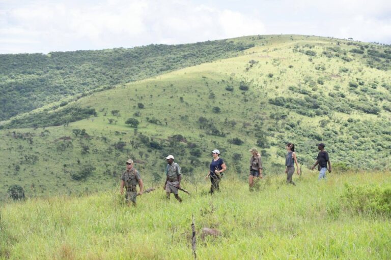 Safari à pied dans la brousse zambienne