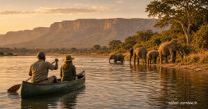 Safari au Bas-Zambèze : l’aventure entre fleuve et bush - safari-zambie.fr