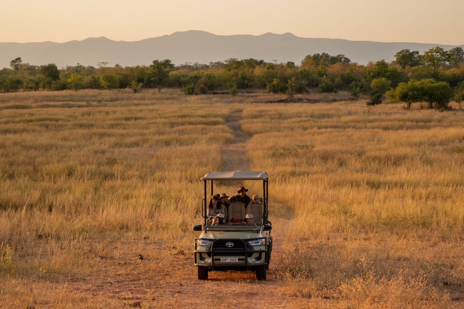 Piste de safari dans la savane au coucher du soleil