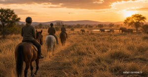 Votre safari équestre en Zambie : galop sauvage à Simalaha - safari-zambie.fr