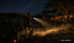 Réussir son safari de nuit en Zambie : le guide expert - safari-zambie.fr
