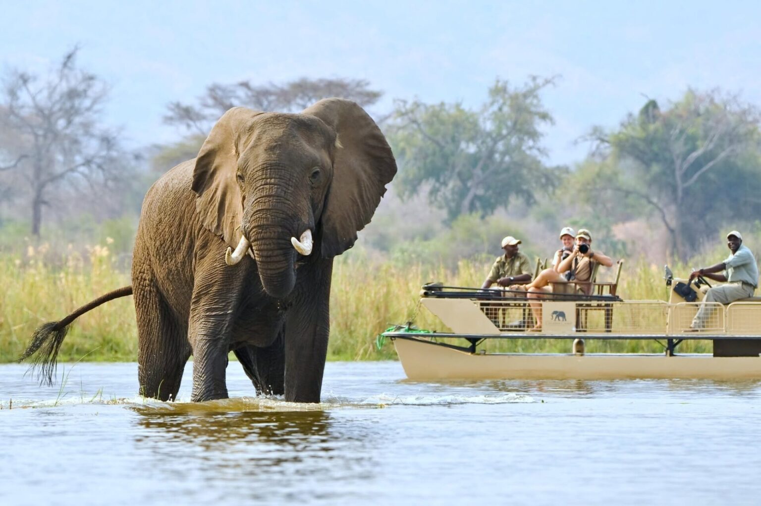 Safari en canoë près d’un éléphant sur le Zambèze